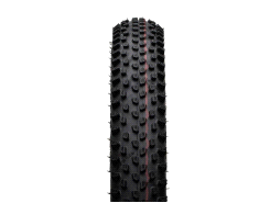 Pneu Schwalbe Racing Ray Evo Super Race 29x2.25